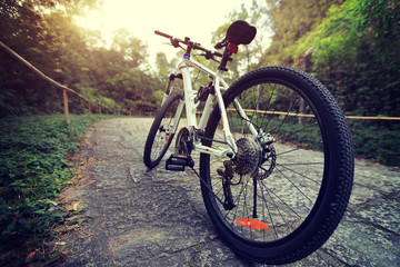 Fototapeta na wymiar riding mountain bike on forest trail