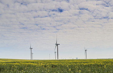 Wind Turbines on Farmland, Yorkshire UK