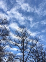blue sky with clouds in winter