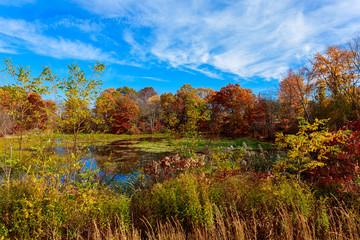 Fototapeta premium colorful autumn forest lake river sky clouds cloud