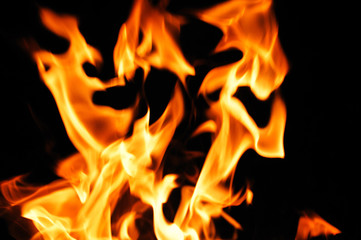 burning fire flame on the black background