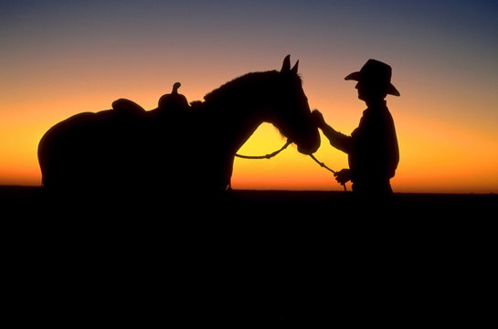 Australian stockman at sunset.