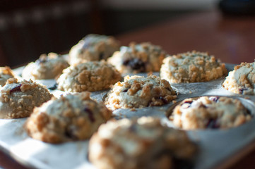 Homemade Blueberry Muffins