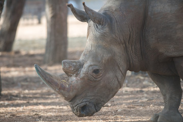 Visit to Safari Ramat Gan