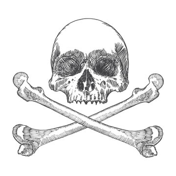 Skull with crossbones. Danger for life and occult witch craft magic symbol. Handmade detailed drawing. Vector illustration.