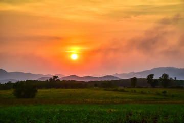 Homegrown vegetable and mountain view with sunset sky nature landscape background.
