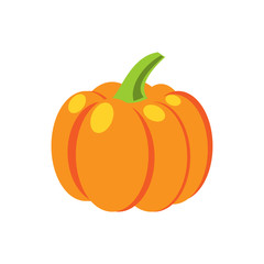 Fresh orange pumpkin isolated vector illustration.