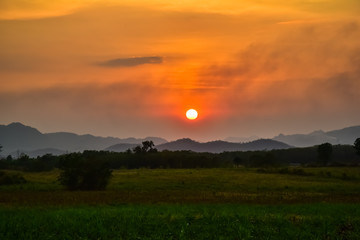 Homegrown vegetable and mountain view with sunset sky nature landscape background.
