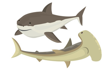 Obraz premium Vector shark character.