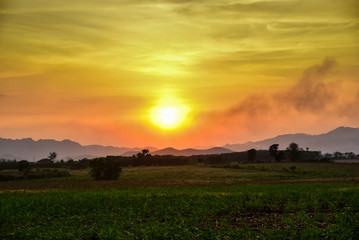 Homegrown vegetable and mountain view with sunset sky nature landscape background.