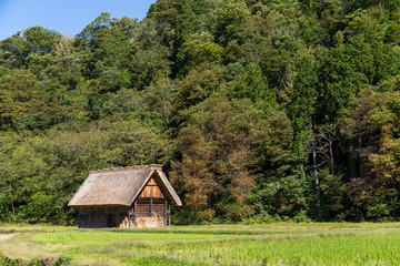 Fototapeta na wymiar Old house in Shirakawago