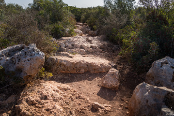 Visit to Ramat Hanadiv at Zihron Ya'akov