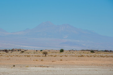 Atacama Desert, Chile