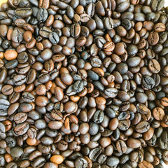 Brown coffee beans, close-up of coffee beans for background and texture
