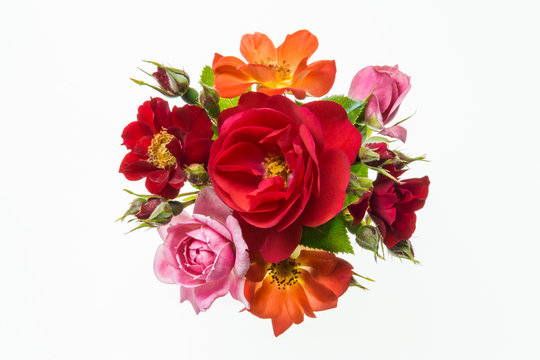bouquet of colourful roses on white background