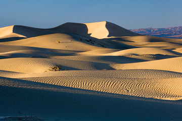 Sand Dunes, Death Valley, California