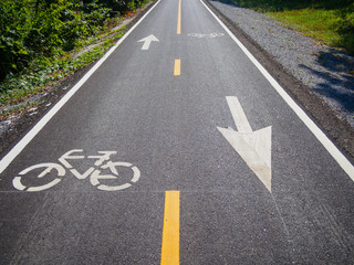 White bicycle sign and symbol on bicycle lane or asphalt road