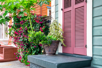 Fototapeta na wymiar New Orleans colorful houses and lush tropical plants. 