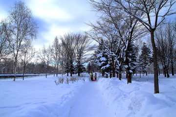 Sapporo winter scenery
