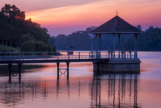 MacRitchie Reservoir