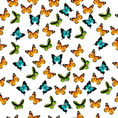 illustration of a colorful butterfly
