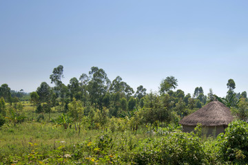 African traditional huts in Kenya