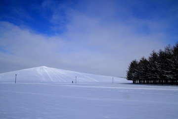 Sapporo winter scenery