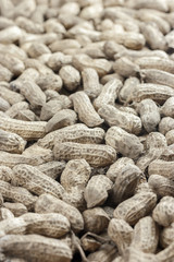 brown raw groundnut