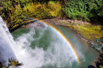 Fototapeta premium Stunning view of Wailua Waterfall near the island capital Lihue on the island of Kauai, Hawaii. Wailua Falls is a 173 foot waterfall that feeds into the Wailua River. Beautiful rainbow visible.