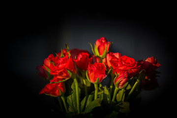 Ein Strauß roter Rosen