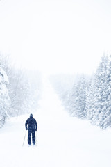 Langläufer in verschneiter Winterlandschaft