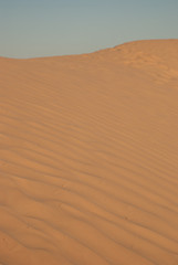 Dunes of sand in the desert. Sahara, Tunisia