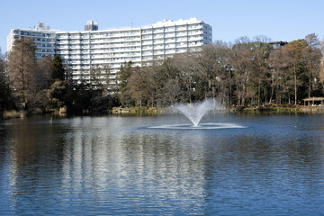Fototapeta premium park