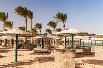 Picturesque views of the tropical beach with palm trees, parasols and sunbeds