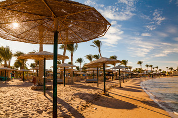 Vues pittoresques sur la plage tropicale avec palmiers, parasols et transats
