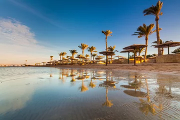 Papier Peint photo Lavable Egypte Belle plage de sable avec palmiers au coucher du soleil. Egypte