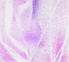 Airbrush abstract grasses in purples and pinks