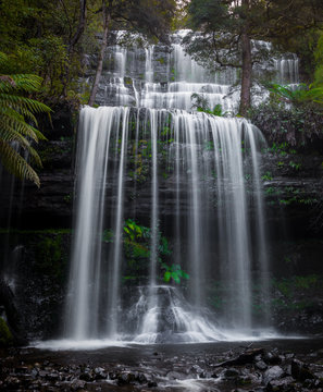 Russell Falls, Tasmania, Australia © Jason