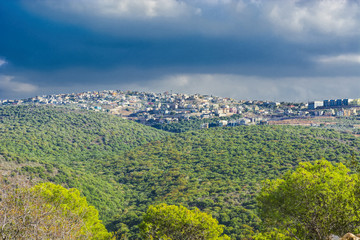 Arab Settlement in Israel