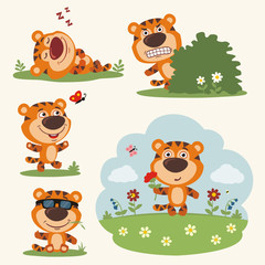 Vector set funny tiger in different poses on summer meadow with flowers. Collection little tiger in cartoon style.