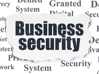 Protection concept: Business Security on Torn Paper background