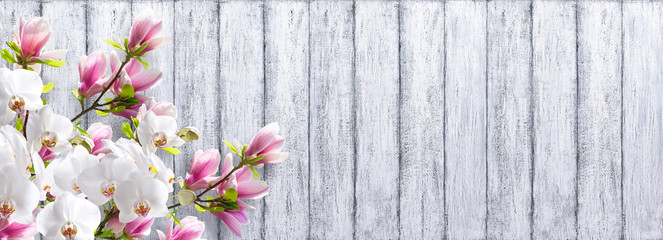 Magnolia with orchid on background of shabby wooden planks