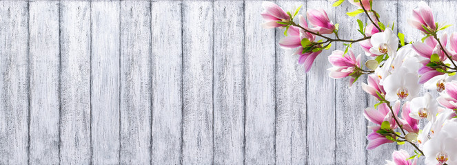 Magnolia with orchid on background of shabby wooden planks © julia_arda