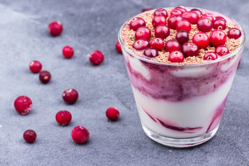 Yogurt with cranberries and chocolate chips