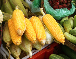 Fresh corn on the morning chinese market in Yangon, Myanmar