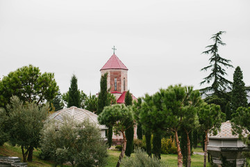 Fototapeta na wymiar Church in Tbilisi in a picturesque place
