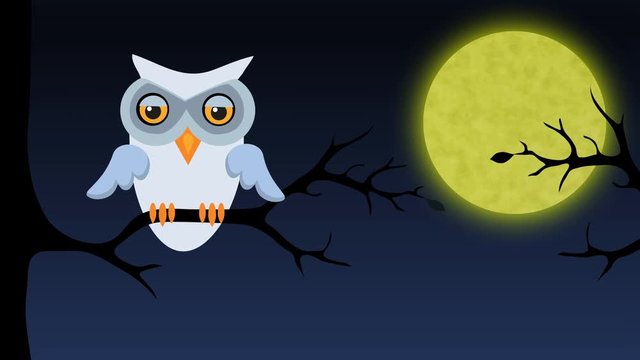 Owl sitting on tree branch at night. Retro cartoon style with flat design. Concept of nature and wisdom.