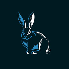 Fototapeta na wymiar Rabbit illustration on black background.