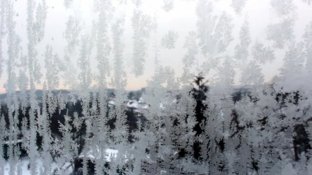 hoarfrost, wite frost, winter