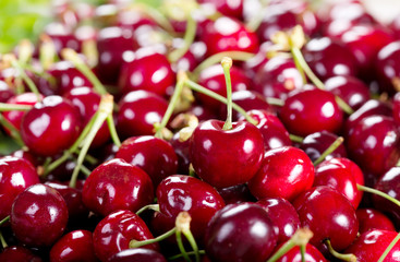 fresh cherries as background